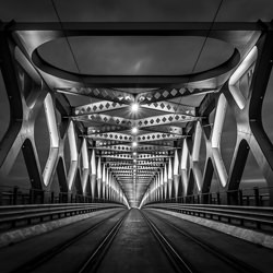 Bridge-Daniel Pastucha-bronze-black_and_white-2575
