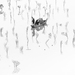 Floating silhouettes-Tugo Cheng-gold-black_and_white-2780