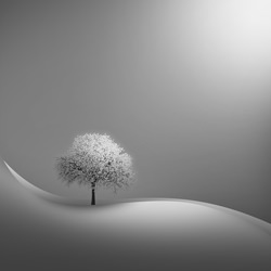 Mother Nature-Iman Tehranian-bronze-black_and_white-2486