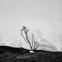 Frozen-Marc Koegel-finalist-black_and_white-4452