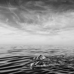 The Fellowship of the Ocean-Gokhan Goksoy-bronze-black_and_white-4311
