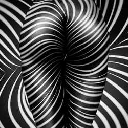 zebra nude art-Kristian Liebrand-bronze-black_and_white-4306