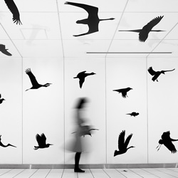Fly With Us #3-Yancho Sabev-bronze-black_and_white-4317