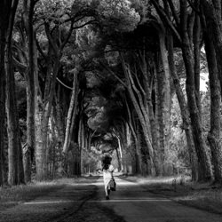 The forest of secrets-Massimo Barbagli-bronze-black_and_white-4334