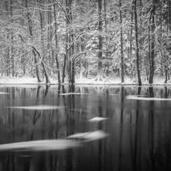 Drifting-Argo Argel-finalist-black_and_white-4364