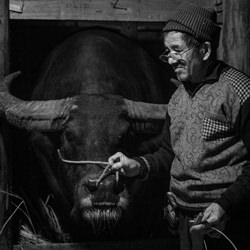 Companion-Oliver Yeung-finalist-black_and_white-4479
