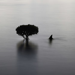 Fin.Petrichor.mb-Matthew Bagley-finalist-black_and_white-4493