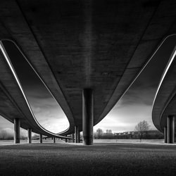 Rheinkniebrücke 3-Frank Loddenkemper-bronze-black_and_white-4340