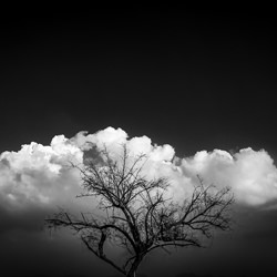Cloud Atlas-Babar Swaleheen-finalist-black_and_white-9288