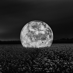 Moon Landing-Brandon Ralph-bronze-black_and_white-9230