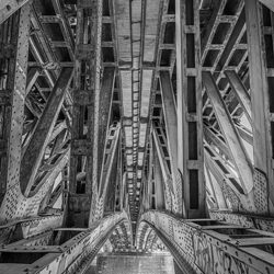 Golden Bridge (Femenino)-Radek Von Hirschberg-silver-black_and_white-9372