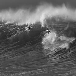Wipe Out-Steve Turner-silver-black_and_white-12528