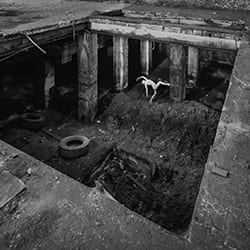 Étendu sur la tombe, 2023-Radek Von Hirschberg-finaliste-noir_et_blanc-12449