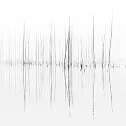 Frozen Sound Wave-Alain Baburam-bronze-black_and_white-12319