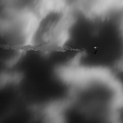 Lonely Bird-Phillip Chang-bronce-negro_y_blanco-12328