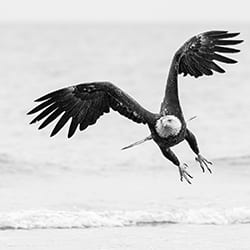 Final Approach-Eric Kanigan-bronze-black_and_white-12371