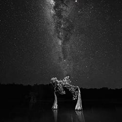 Dancing with Milkyway-Swee Sing Vincent Lim-silver-black_and_white-12551