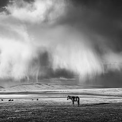 Waiting for the Storm-Aga Karmol-bronze-black_and_white-15555