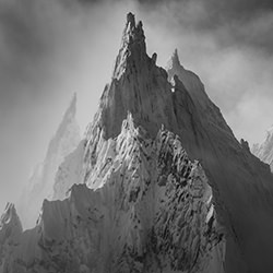 Needles : Atmospherical-Thomas Crauwels-bronze-black_and_white-15608