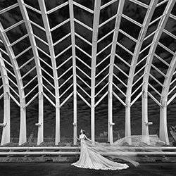 3-Joe Lai-bronze-black_and_white-15452