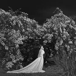 7-Joe Lai-bronze-black_and_white-15455