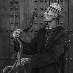 Marrakesh-Krzysztof Lawniczak-gold-black_and_white-15911