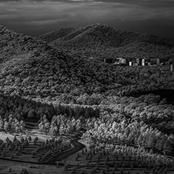 Bush Capital-Greg Primmer-finalist-black_and_white-15849