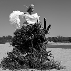 Nest-Agnieszka Czyzkowska-bronze-black_and_white-15602