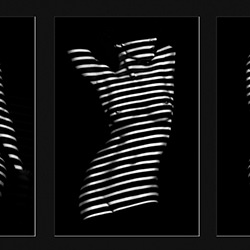 Chasing Zebras-Andrew Hiorth-bronze-black_and_white-15594