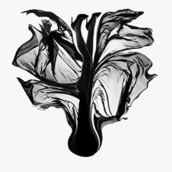 Late Bloomer-Andrew Hiorth-bronze-black_and_white-15596