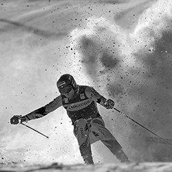 Wipeout-Jim Chung-bronze-black_and_white-15535