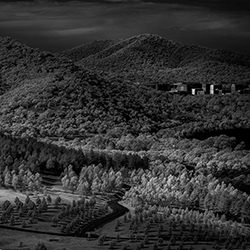 Bush Capital-Greg Primmer-finalist-black_and_white-15850