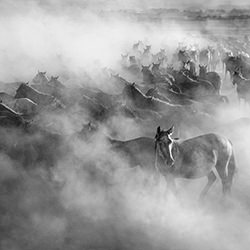 Second Thoughts-Aga Karmol-finalist-black_and_white-15777