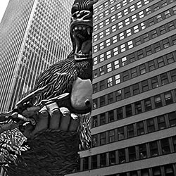 Gorilla on the move-Stephen Mimms-finalist-black_and_white-15723