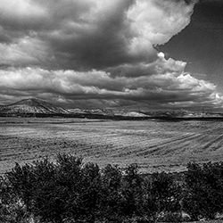 Plowed Field with Sun Peeking from Behind Clouds-Scarlett Freund-finalist-black_and_white-15654