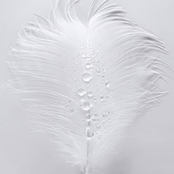 Pearl White-Julia Hiebaum-silver-black_and_white-18474