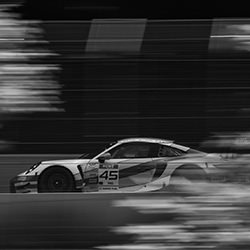 Through the Trees-Alex Nowak-finalist-black_and_white-18380