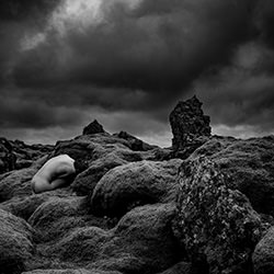 Blending in-Anke Sturhahn-bronze-black_and_white-18270