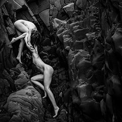 Reaching-Anke Sturhahn-gold-black_and_white-18454