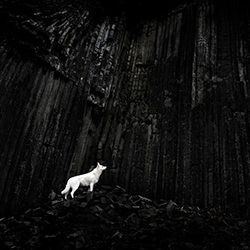 King of Mordor-Denisa Zbrankova Albaniova-silver-black_and_white-18512