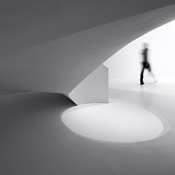 Fade into the Bright-Max Van Son-bronze-black_and_white-18284