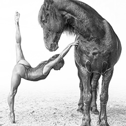 Balancing Act-Anke Sturhahn-silver-black_and_white-18502