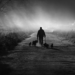 Liberty Loop-Marek Dudek-finalist-black_and_white-18343