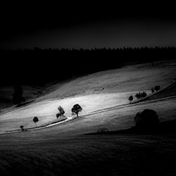 Illuminating Vision-Ella Schnur Art-finalist-black_and_white-18429