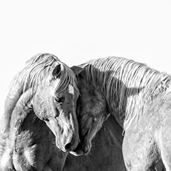 Harmony in Silence-Valerie Henry-bronze-black_and_white-18239