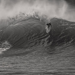 Up For The Challenge-Steve Turner-gold-black_and_white-18446
