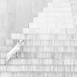 Shape of Stilness-Denisa Zbrankova Albaniova-finalist-black_and_white-18426