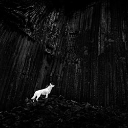 King of Mordor-Denisa Zbrankova Albaniova-silver-black_and_white-18513