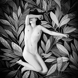 Audrey-Thierry Smets-bronze-black_and_white-18205