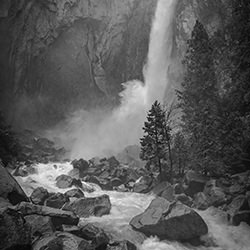 Winter\'s Rage-Joshua Smith-bronze-black_and_white-18202